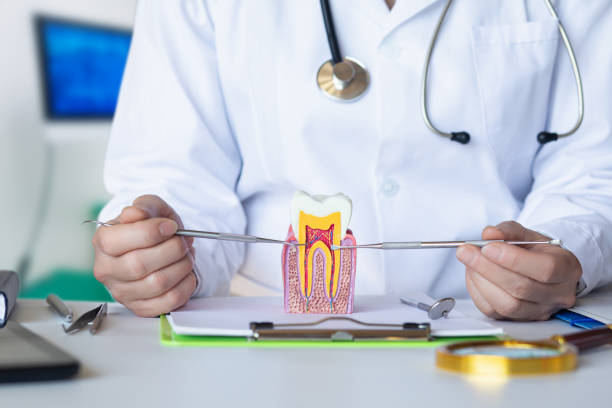 Best Broken or Chipped Tooth Repair in Estherville, IA